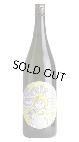 画像1: 飛良泉　サワーキャット おりがらみ火入　1.8L　(冷蔵推奨) (1)