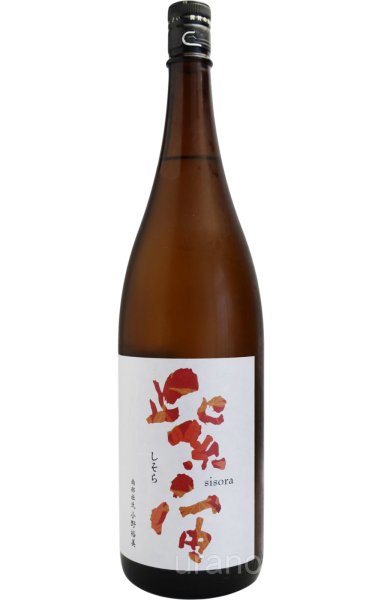 画像1: 紫宙 しそら　紅葉ラベル　純米吟醸　1.8L (1)