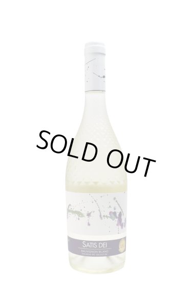 画像1: [白ワイン /辛口]　テラセラーズ　サティス・デイ 白（アートコレクション シリーズ）　750ml　/スペイン (1)