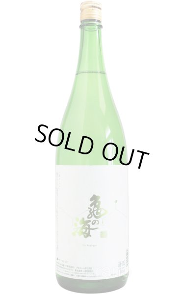 画像1: 亀の海　MALIQUE　マリック　1.8L　(冷蔵) (1)