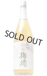 中野BC 緑茶の梅酒 1.8L - うらの酒店