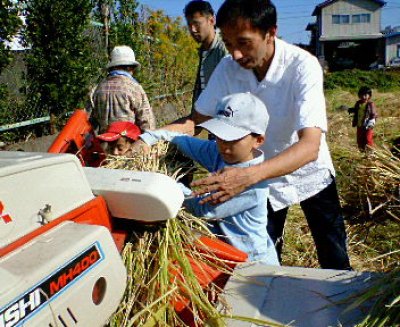 画像3: 鍋島　特別純米酒　720ml　※商品詳細を御確認ください