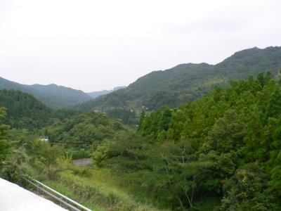 画像1: 【芋焼酎】 吉兆宝山 25度 1.8L